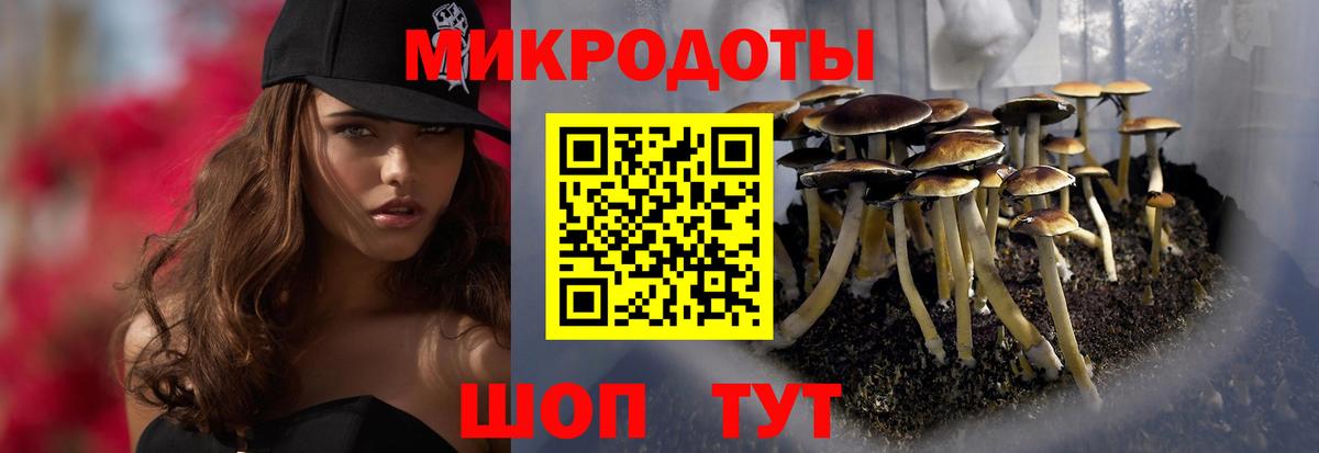Галлюциногенные грибы GOLDEN TEACHER  Вход с VPN  Нягань 